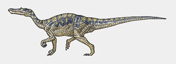 Illustration of Baryonyx saurischia dinosaur