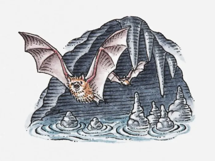 Framed Print : Illustration of bats flying out of cave