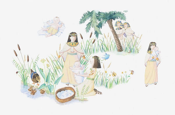 Illustration of a bible scene, Exodus 2, Baby Moses, Moses is left in a basket on the banks of the Nile by his mother, the pharaohs daughter finds him and he becomes her son
