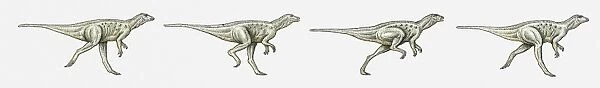 Illustration of a bipedal dinosaur running, multiple image