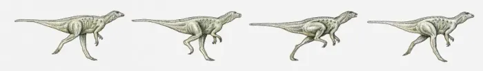 Framed Print : Illustration of a bipedal dinosaur running, multiple image Framed Print : Illustration of a bipedal dinosaur running, multiple image