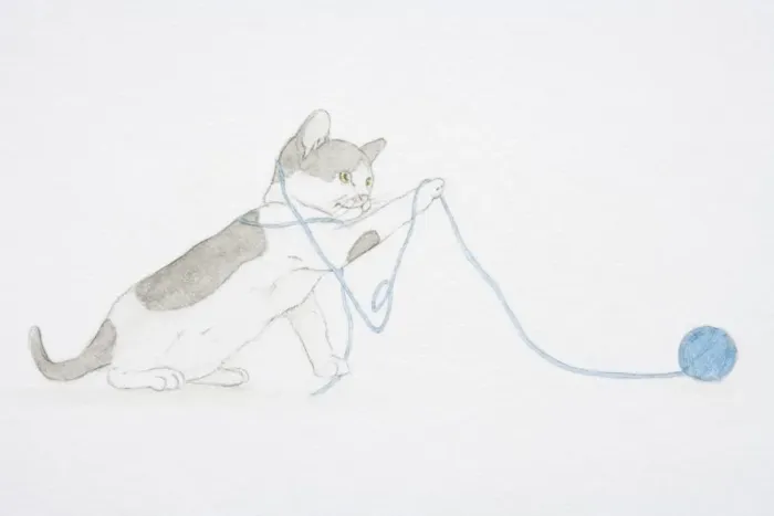 Framed Print : Illustration, black and white kitten playing with ball of wool Framed Print : Illustration, black and white kitten playing with ball of wool