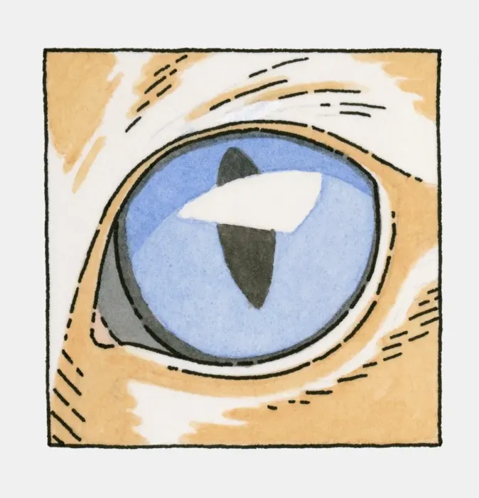 Framed Print : Illustration of blue eye of ginger cat Framed Print : Illustration of blue eye of ginger cat
