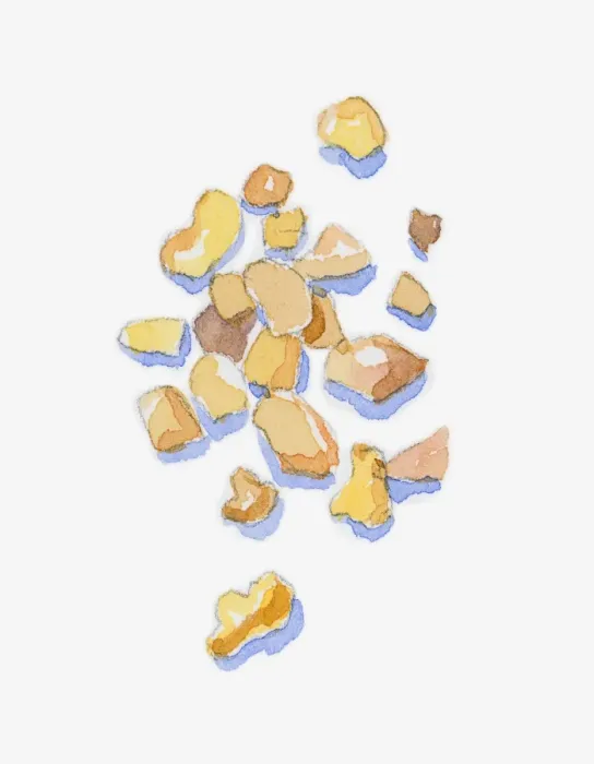 Framed Print : Illustration of Boswellia sacra (Frankincense), resin ingredient for aromatherapy oil Framed Print : Illustration of Boswellia sacra (Frankincense), resin ingredient for aromatherapy oil