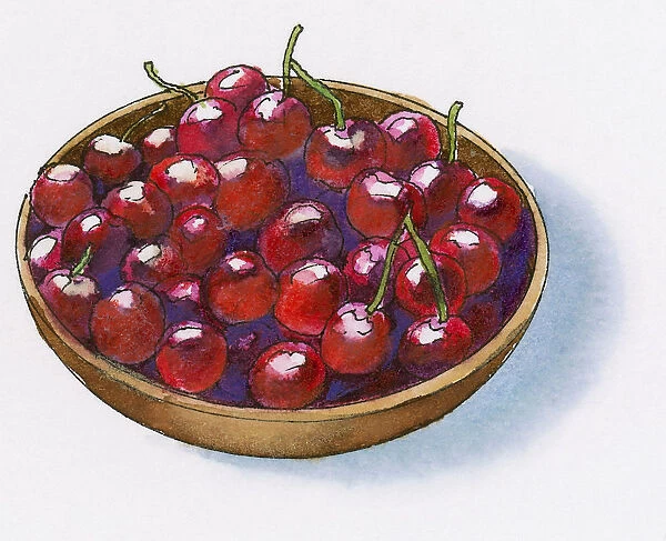 Illustration of bowl of fresh red cherries