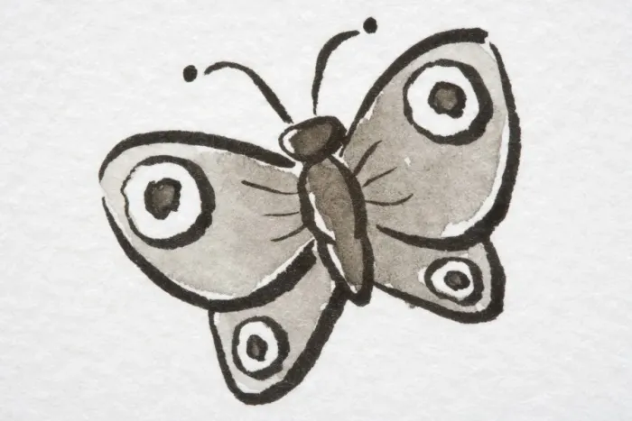 Framed Print : Illustration, Butterfly with eyespots on wings Framed Print : Illustration, Butterfly with eyespots on wings