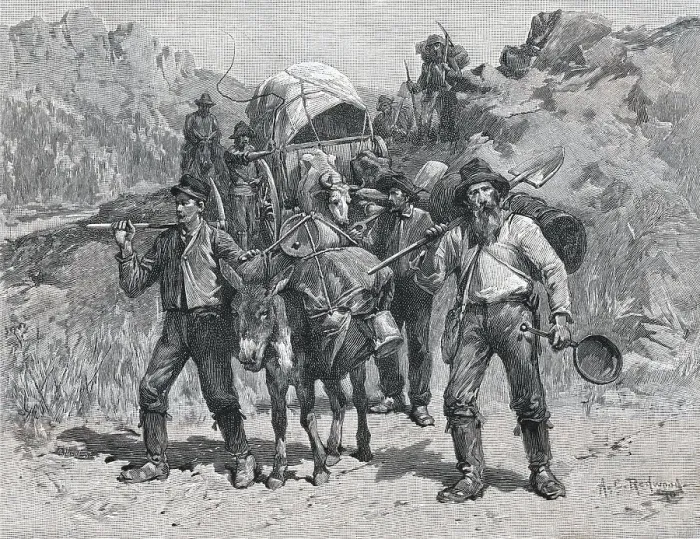 Framed Print : Illustration of California Prospectors by Allen Carter Redwood Framed Print : Illustration of California Prospectors by Allen Carter Redwood