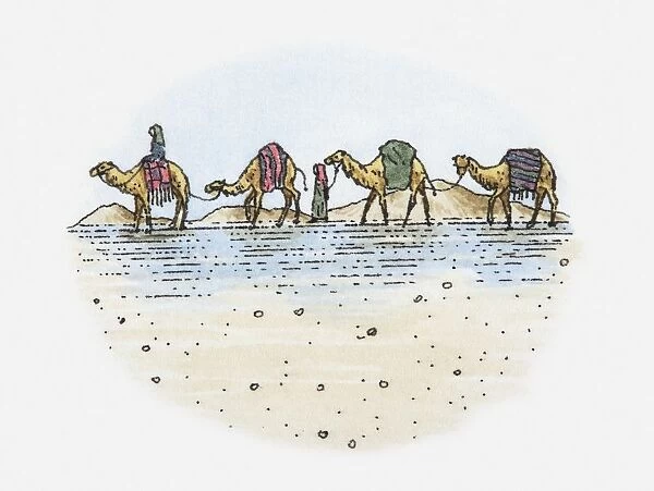 Illustration of camel train in the desert