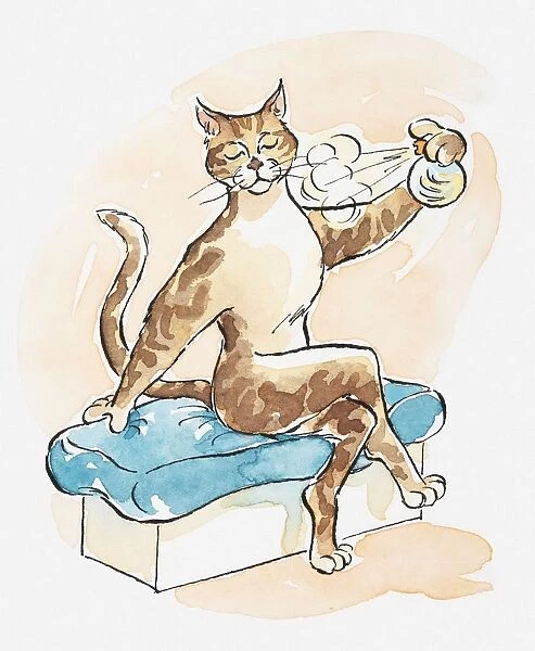 Illustration, cartoon of a cat spraying its territory with urine