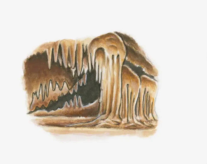 Framed Print : Illustration of caves at Betharram, Pyrenees-Atlantiques, France Framed Print : Illustration of caves at Betharram, Pyrenees-Atlantiques, France