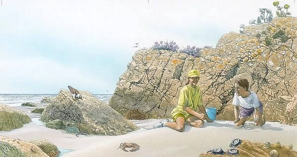 Illustration of children on beach on rocky coastline with birds, flora and sea life