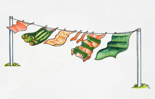 Illustration of clothing hanging on clothesline in wind