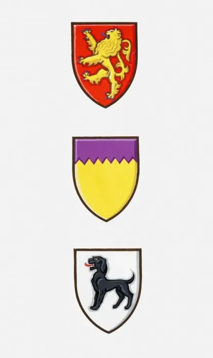 Framed Print : Illustration of three coats of arms Framed Print : Illustration of three coats of arms