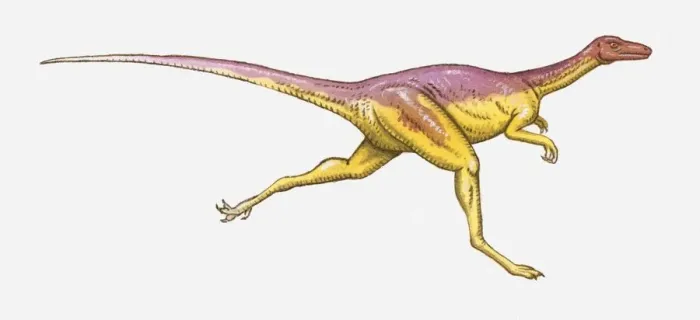 Framed Print : Illustration of Coelophysis dinosaur running, side view
