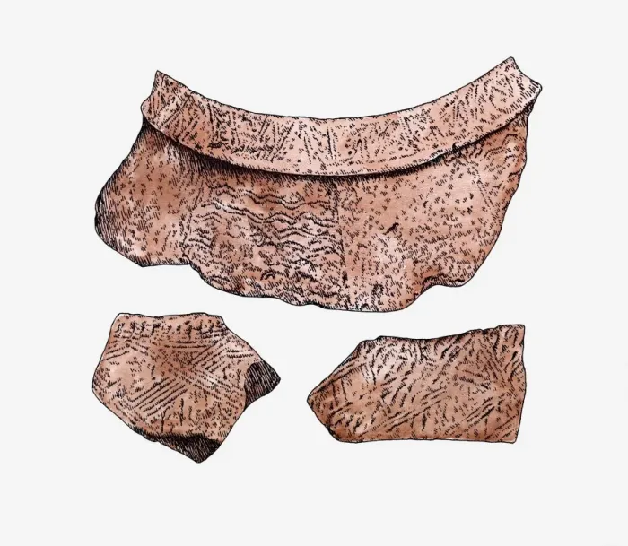 Framed Print : Illustration of cord-marked and incised pottery shards, Ta-p en-keng, Taiwan Framed Print : Illustration of cord-marked and incised pottery shards, Ta-p en-keng, Taiwan