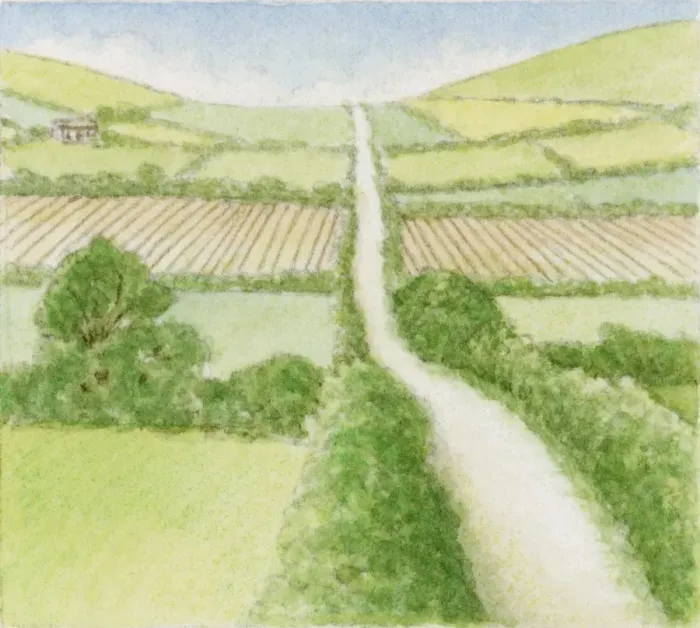 Framed Print : Illustration of country road through agricultural fields Framed Print : Illustration of country road through agricultural fields