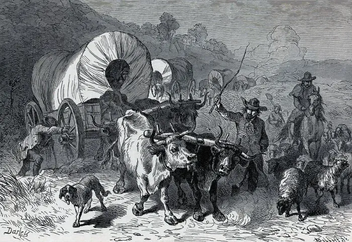 Framed Print : Illustration Of A Covered Wagon Train Framed Print : Illustration Of A Covered Wagon Train