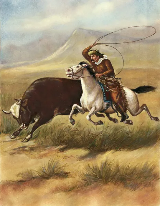 Framed Print : Illustration of a Cowboy Lassoing a Steer