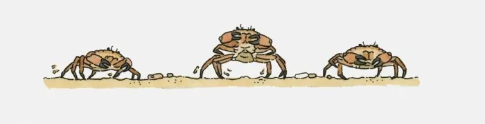 Framed Print : Illustration of crabs walking sideways underwater