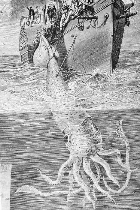 Framed Print : Illustration of the Crew of the Alecton Attempting to Catch a Giant Squid Framed Print : Illustration of the Crew of the Alecton Attempting to Catch a Giant Squid