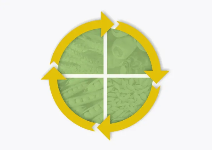 Framed Print : Illustration of crop rotation cycle