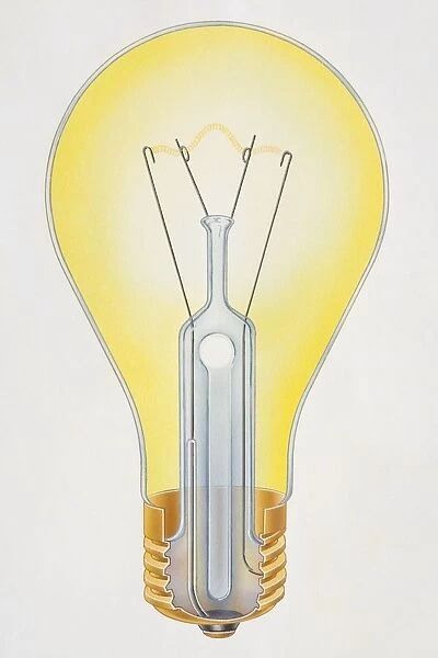 Illustration, cross-section diagram of screw-fitting light bulb