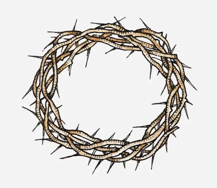 Framed Print : Illustration of Crown Of Thorns Framed Print : Illustration of Crown Of Thorns