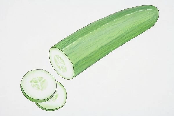 Illustration, Cucumber with two slices cut off