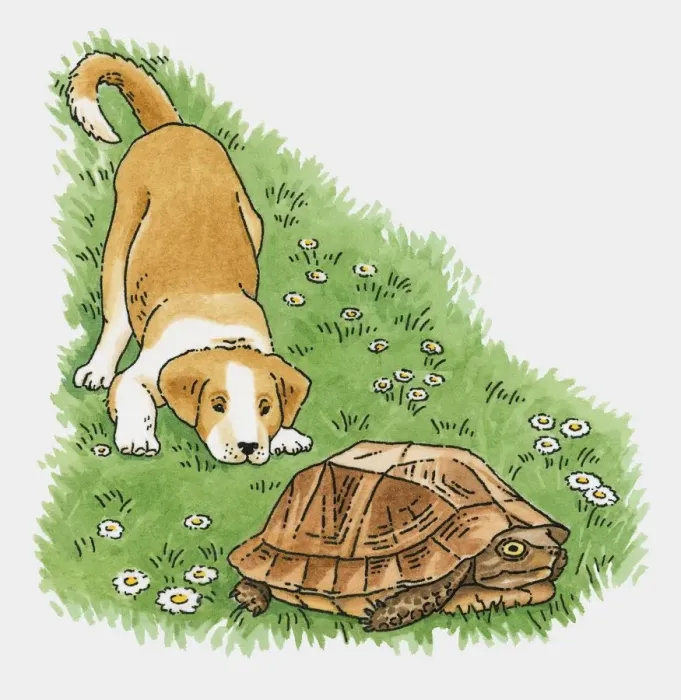 Framed Print : Illustration of curious puppy behind tortoise on grass Framed Print : Illustration of curious puppy behind tortoise on grass