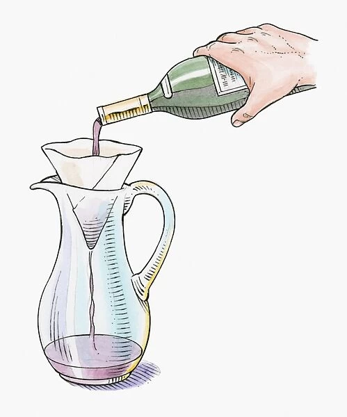 Illustration of decanting red wine into glass jug