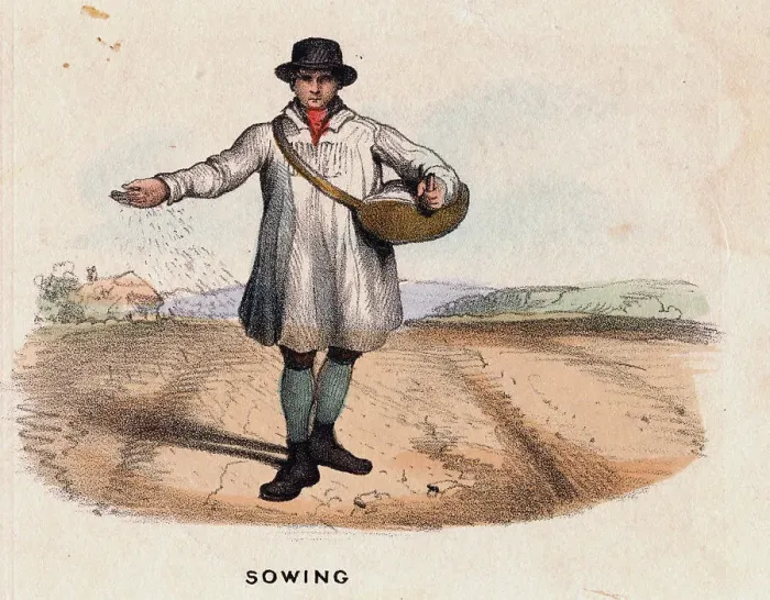 Framed Print : Illustration Depicting a Farmer Sowing a Field by Hand