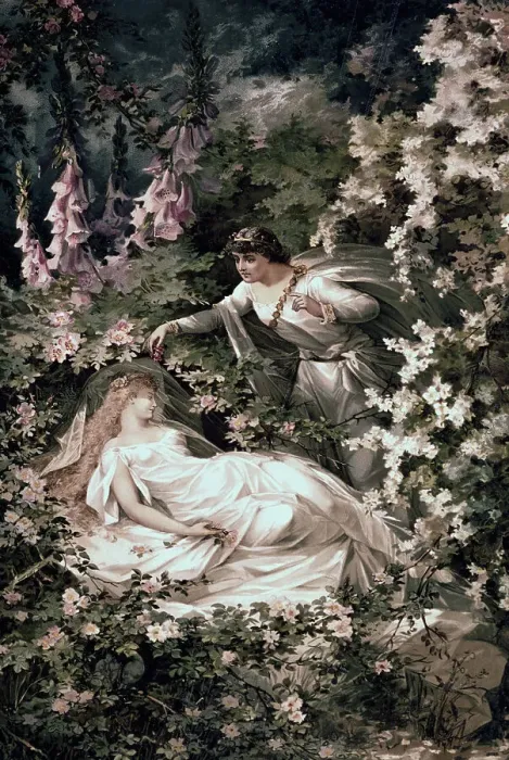 Framed Print : Illustration Depicting the Prince Discovering Princess Aurora from Sleeping Beauty Framed Print : Illustration Depicting the Prince Discovering Princess Aurora from Sleeping Beauty