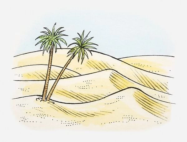 Illustration of desert landscape with palm trees