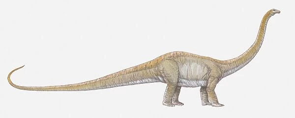 Illustration of Dilophosaurus dinosaur