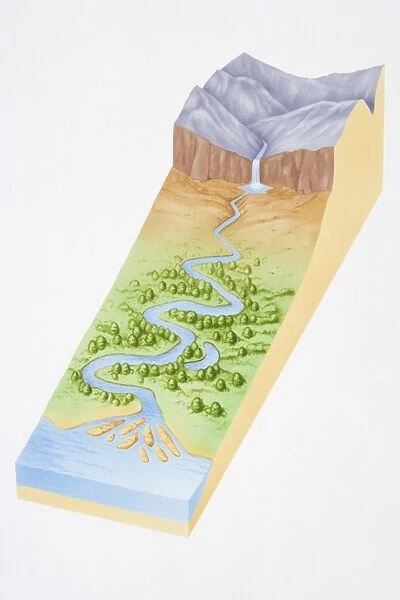 Illustration, three dimensional section of landscape showing river flowing out of mountains, through woodland valley and into sea
