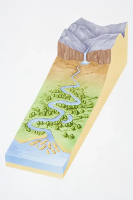 Framed Print : Illustration, three dimensional section of landscape showing river flowing out of mountains, through woodland valley and into sea Framed Print : Illustration, three dimensional section of landscape showing river flowing out of mountains, through woodland valley and into sea
