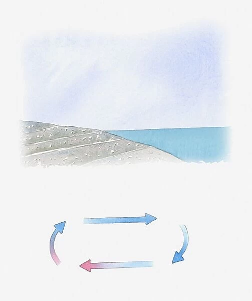 Illustration of direction of sea breeze during the day
