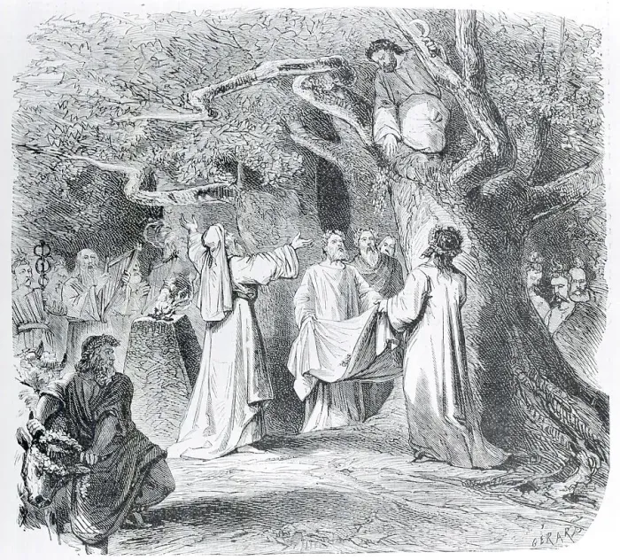 Framed Print : Illustration of Druid Throwing Mistletoe