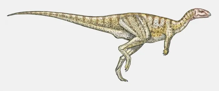 Framed Print : Illustration of Dryosaurus ornithopod dinosaur Framed Print : Illustration of Dryosaurus ornithopod dinosaur
