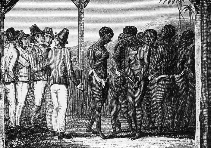 Framed Print : Illustration of Early 19th-Century Slave Auction Framed Print : Illustration of Early 19th-Century Slave Auction