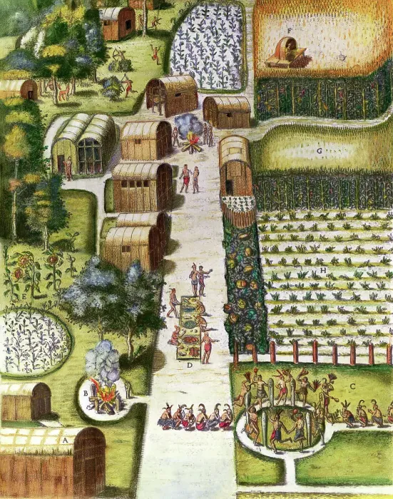 Framed Print : Illustration of Early American Corn Farm Framed Print : Illustration of Early American Corn Farm