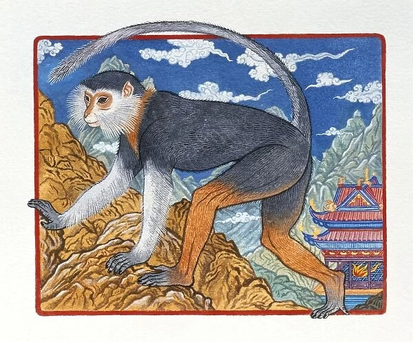Illustration of Elegant Monkey, representing Chinese Year Of The Monkey