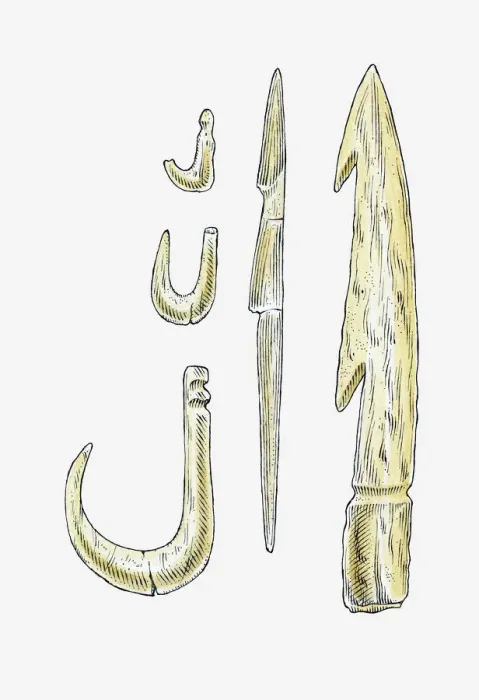 Framed Print : Illustration of era Jomon bone fish hooks, Japan Framed Print : Illustration of era Jomon bone fish hooks, Japan