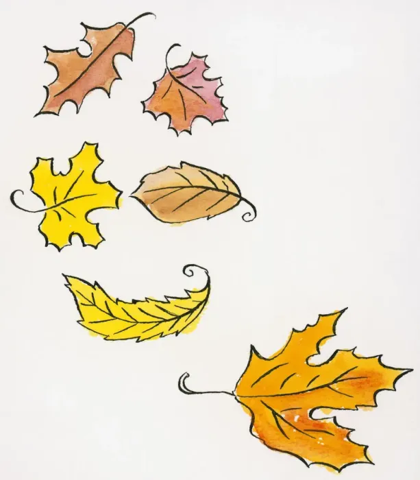 Framed Print : Illustration of falling autumn leaves of various shapes and sizes Framed Print : Illustration of falling autumn leaves of various shapes and sizes