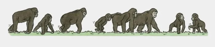 Framed Print : Illustration of family of Gorillas