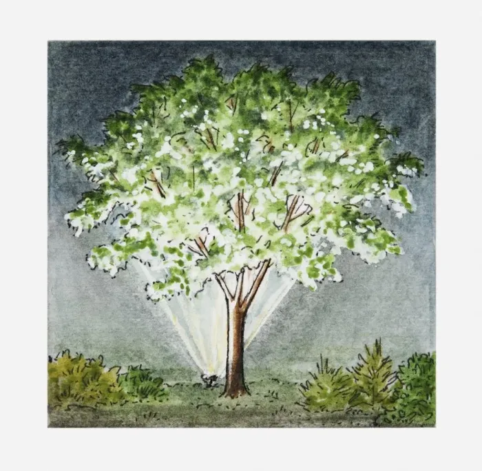 Framed Print : Illustration of floodlit tree Framed Print : Illustration of floodlit tree