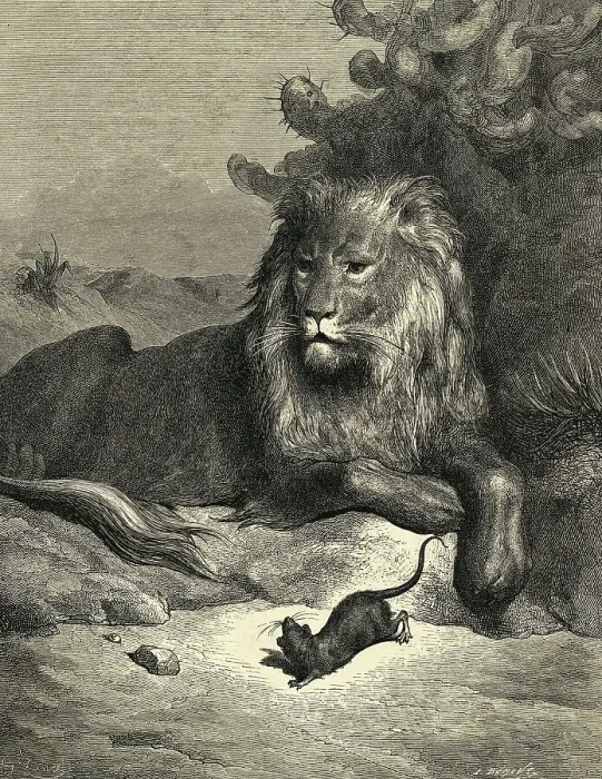 Framed Print : Illustration from Fontaine's The Lion and the Rat Framed Print : Illustration from Fontaine's The Lion and the Rat