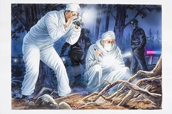 Illustration, two forensic officers in white boiler suits holding torch and taking photographs in forest location at night, police car and officers in background