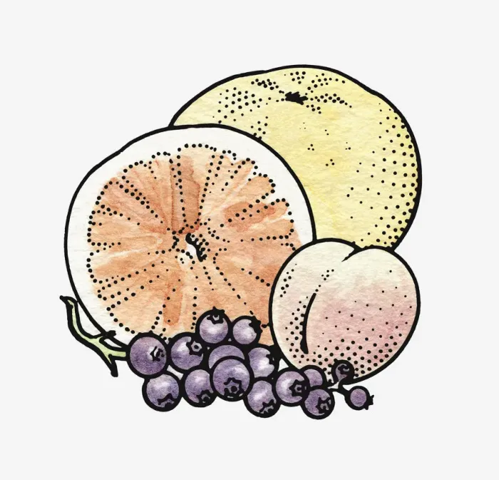 Framed Print : Illustration of fresh orange, apple, peach and grapes Framed Print : Illustration of fresh orange, apple, peach and grapes