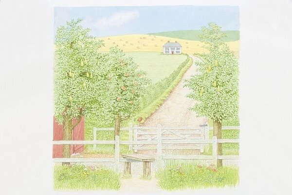 Illustration, fruit trees and wooden field gate by country path leading to secluded farmhouse, rolling hills with hay bales in background